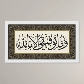 My Success Comes Only through Allah
